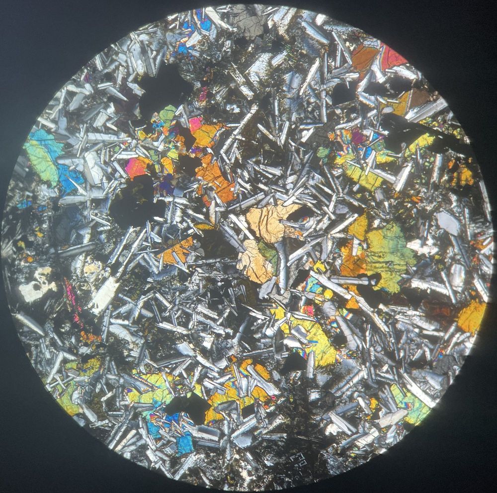 Cross polarised light view of ophitic texture in dolerite with clinopyroxene crystals growing around plagioclase laths. Relatively abundant iron oxide present too.