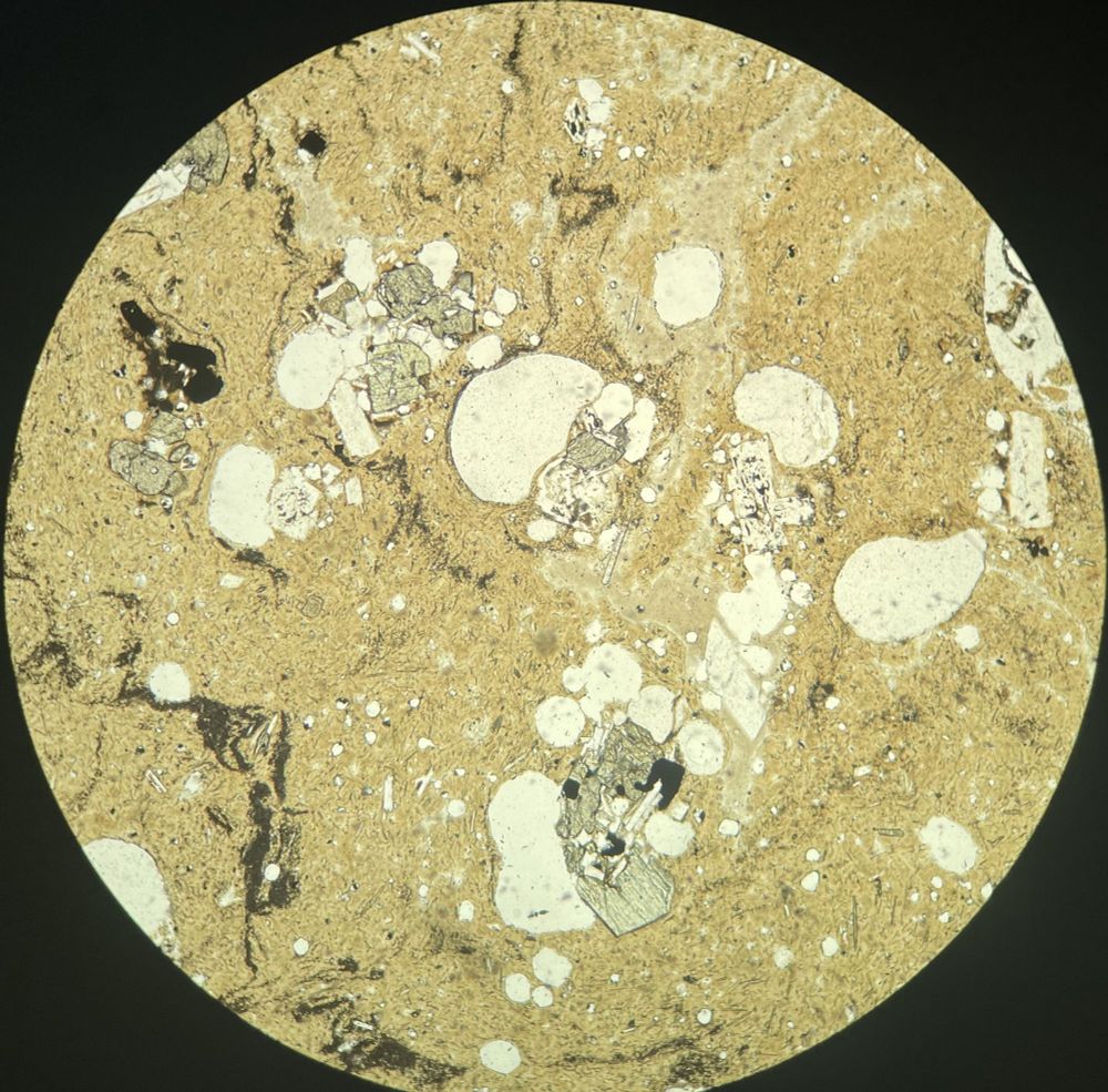 Plane polarised light view of lava with glomerophyric pyroxene and plagioclase surrounded by rounded vesicles, which represent bubbles frozen into the brown, glassy matrix.
