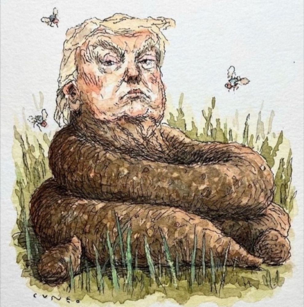 Trump illustrated as a pile of shit.