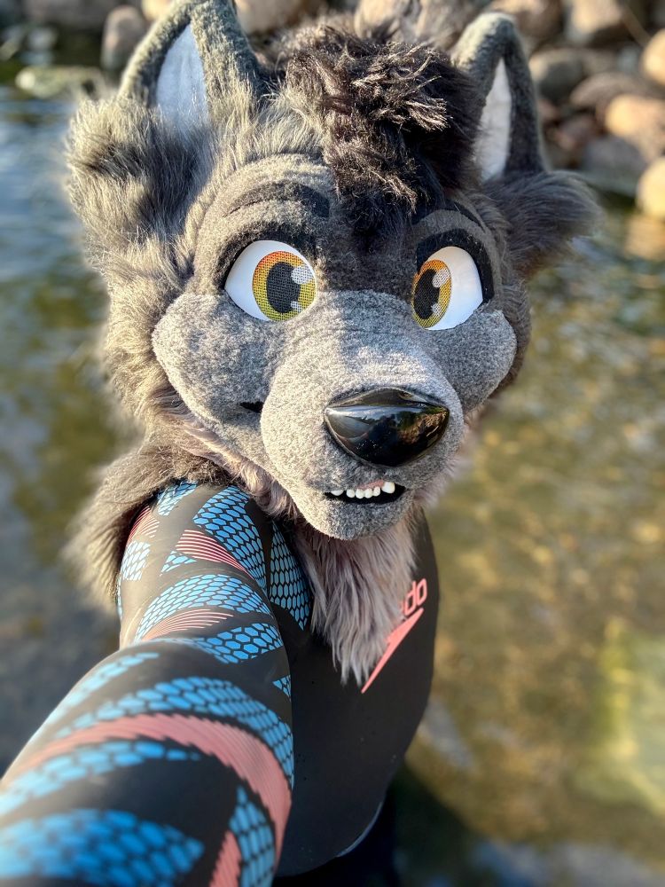 Szurky Always in wetsuit 