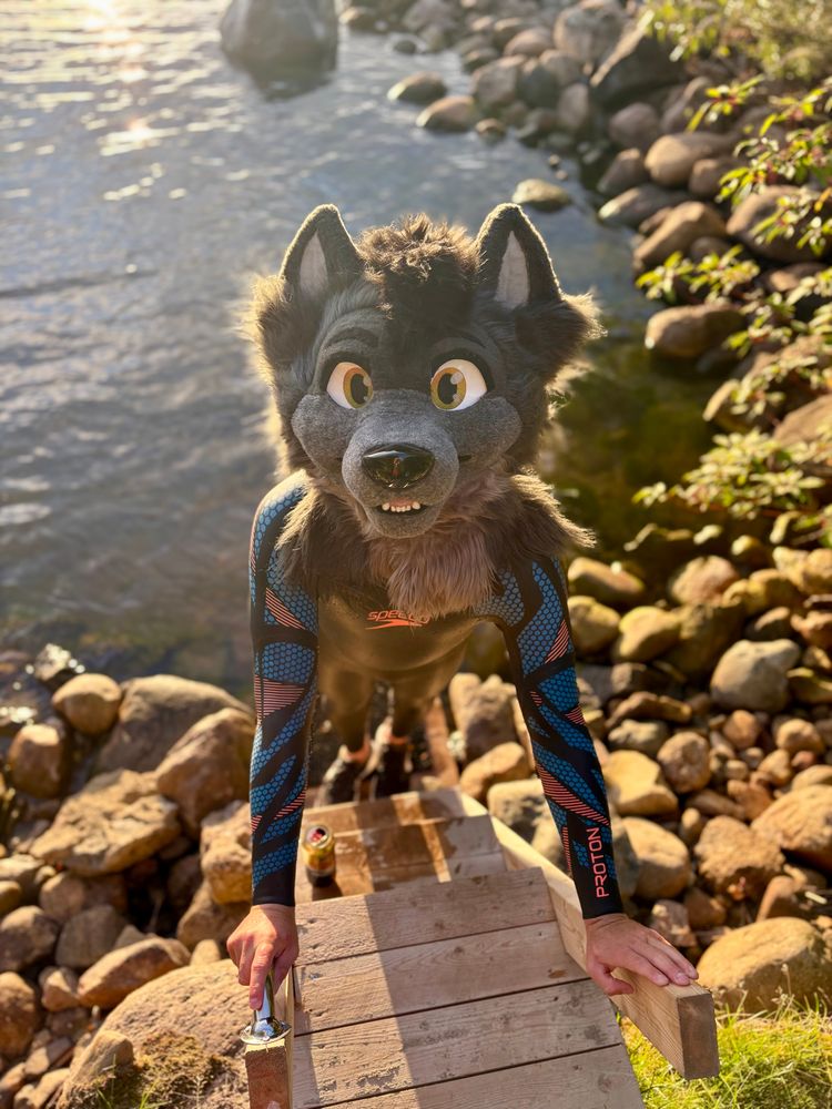 Sunset swimming :D 
Always happy to swim ! Maybe i’m a otter-wolf? 