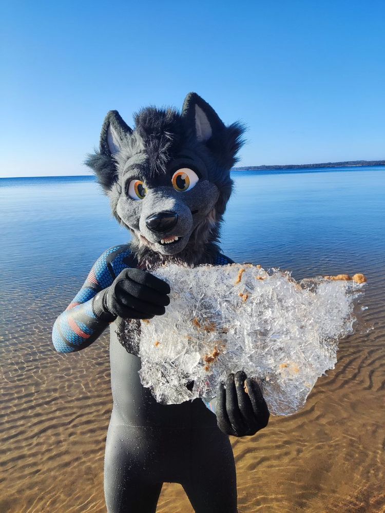 Szurky in wetsuit swam on the frozen lake and foud ice !