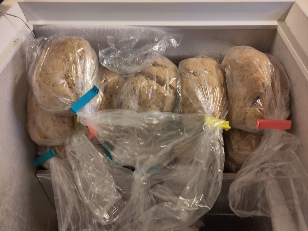 A big stack of cold breads in the deep chest freezer.