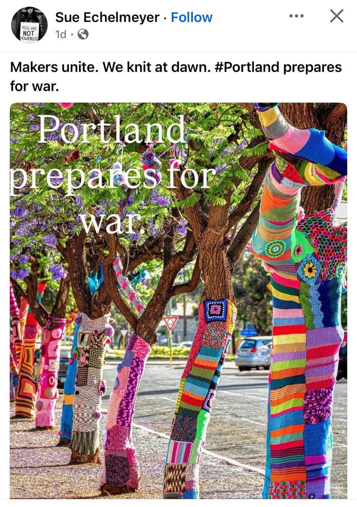 Trees along a Portland street wrapped in hand knitted scarves in all colors 