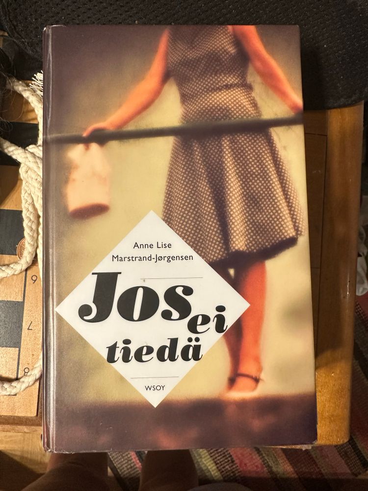 Anne Lise Mastrand-Jørgensen, Jos ei tiedä romaanin kansi.