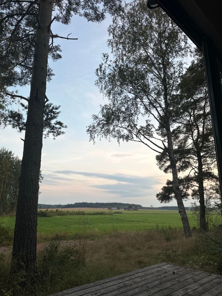 Kuva peltomaisemasta ja vaaleasta iltataivaasta.