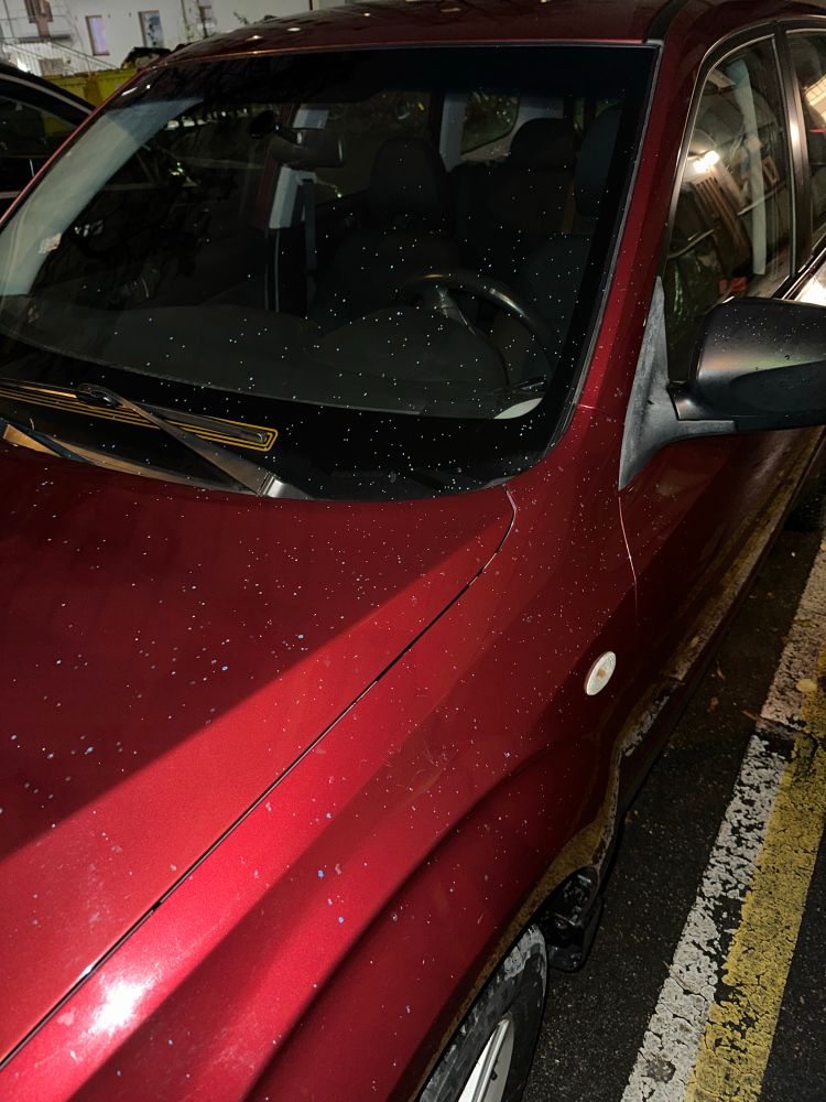 Auton konepelti, jossa sinisiä pisteitä.