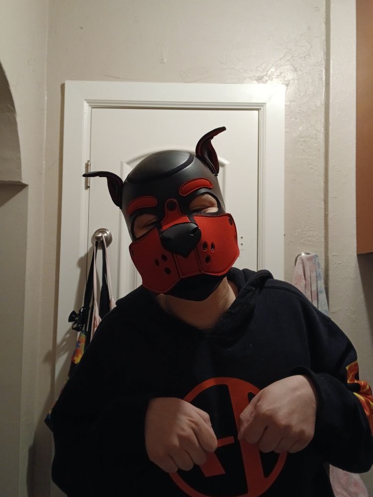 Me in a red and black pup hood just being a silly little guy 