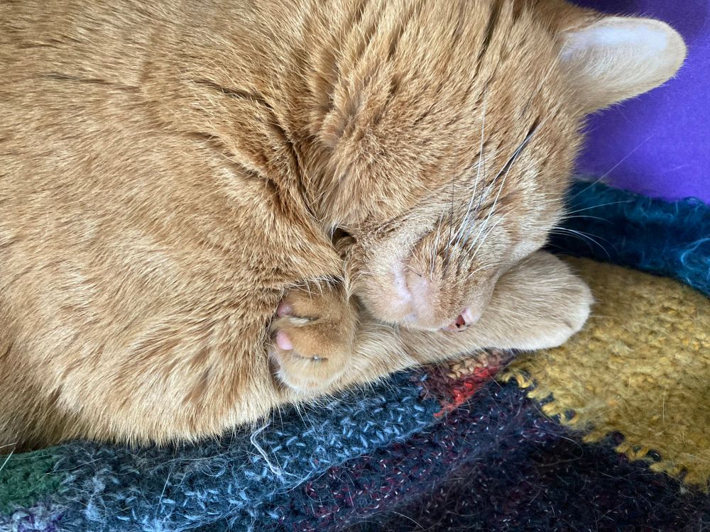 A close up of an orange tabby zonked hard on a crocheted blanket. His snout is resting on one paw with the other curled up under his chin. 