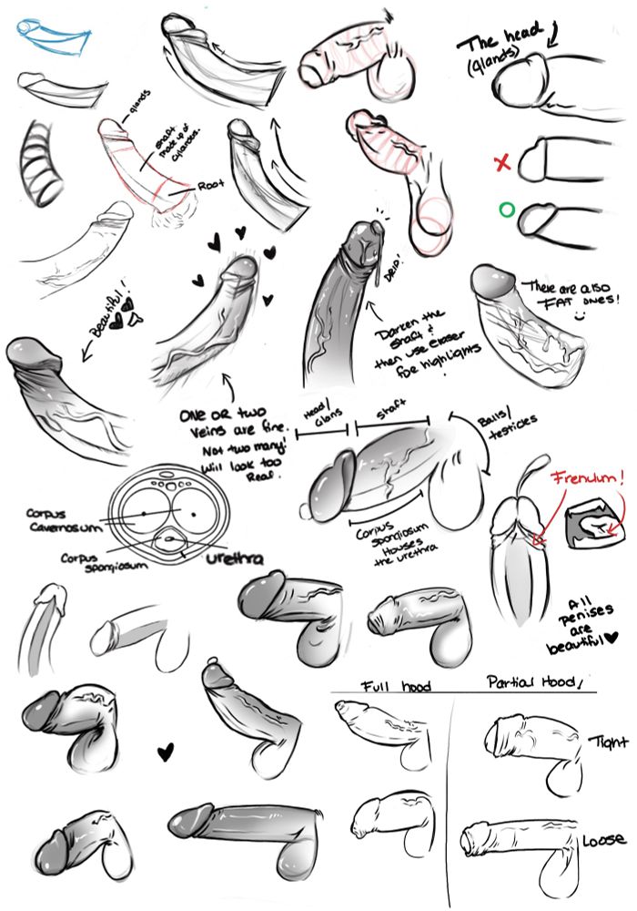A comprehensive black and white digital anatomy study of penises, drawn in a manga-inspired style. The image includes dozens of sketches showing a wide variety of shaft shapes, head types, foreskin variations, angles, and sizes—both realistic and stylized. Notes are written throughout the image pointing out anatomical features such as the glans, frenulum, corpus spongiosum, and urethra. Cross-section diagrams and labeled cutaways explain internal structures. Some drawings are playful or affectionate, with hearts, sparkles, and positive affirmations like “all penises are beautiful” and “one or two veins are fine.” The overall tone is educational, expressive, and inclusive.
