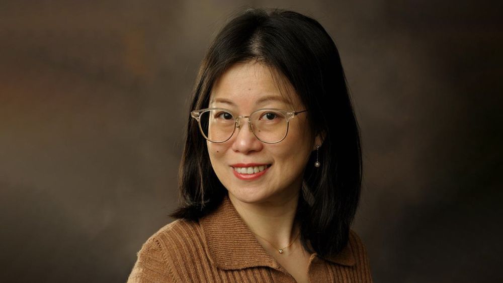 Professor and MSIM Program Director Jingrui He