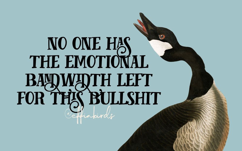 A painting of a bird beside the text "no one has the emotional bandwidth left for this bullshit"