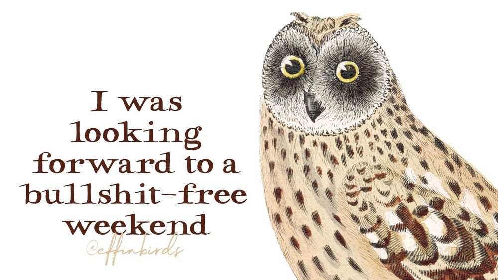A painting of a bird next to the words 