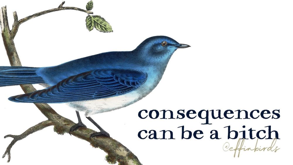 A painting of a bird next to the words "consequences can be a bitch"