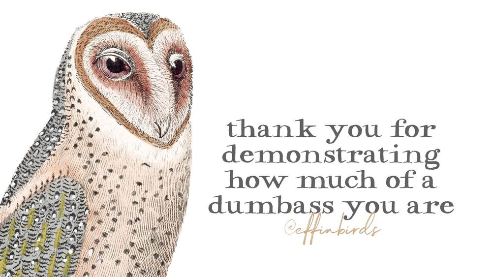 A painting of a bird next to the words "thank you for demonstrating how much of a dumbass you are"
