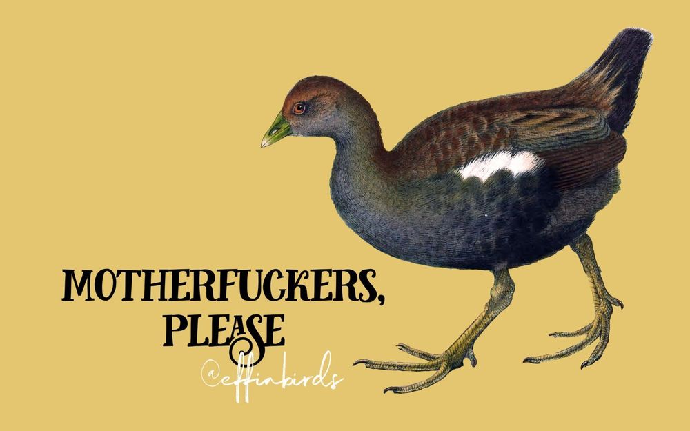 A painting of a bird beside the text 