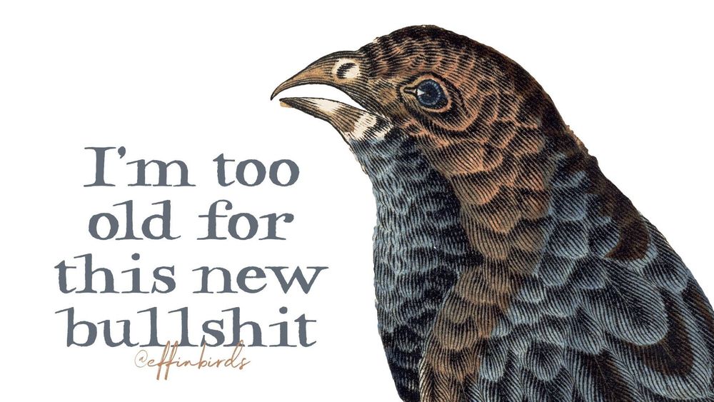A painting of a bird next to the words "I'm too old for this new bullshit"
