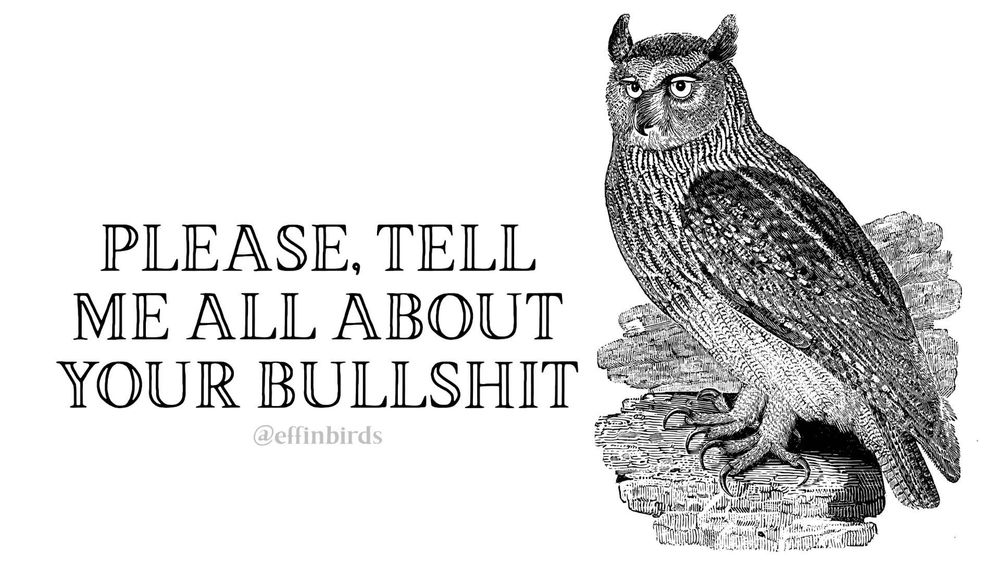 A painting of a bird next to the words"please tell me all about your bullshit"