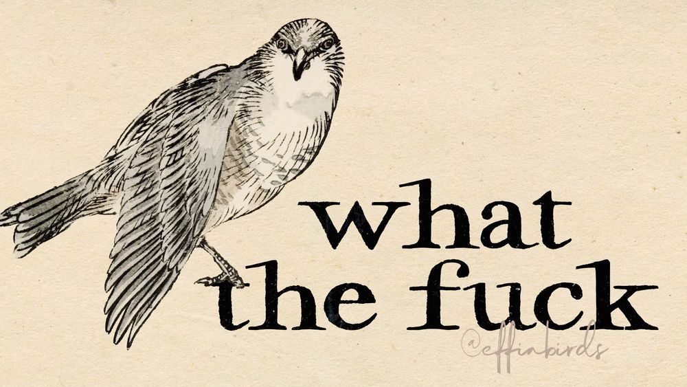A painting of a bird next to the words "what the fuck"