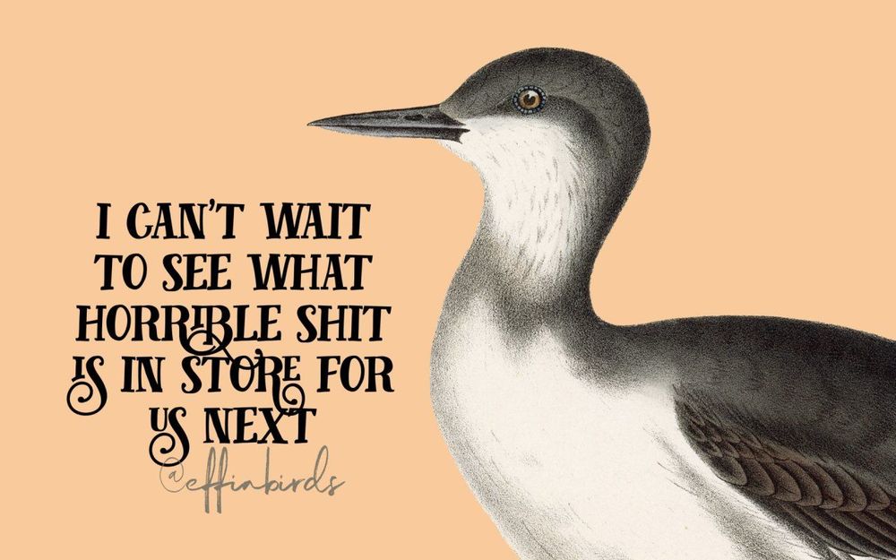 A painting of a bird beside the text "I can't wait to see what horrible shit is in store for us next"