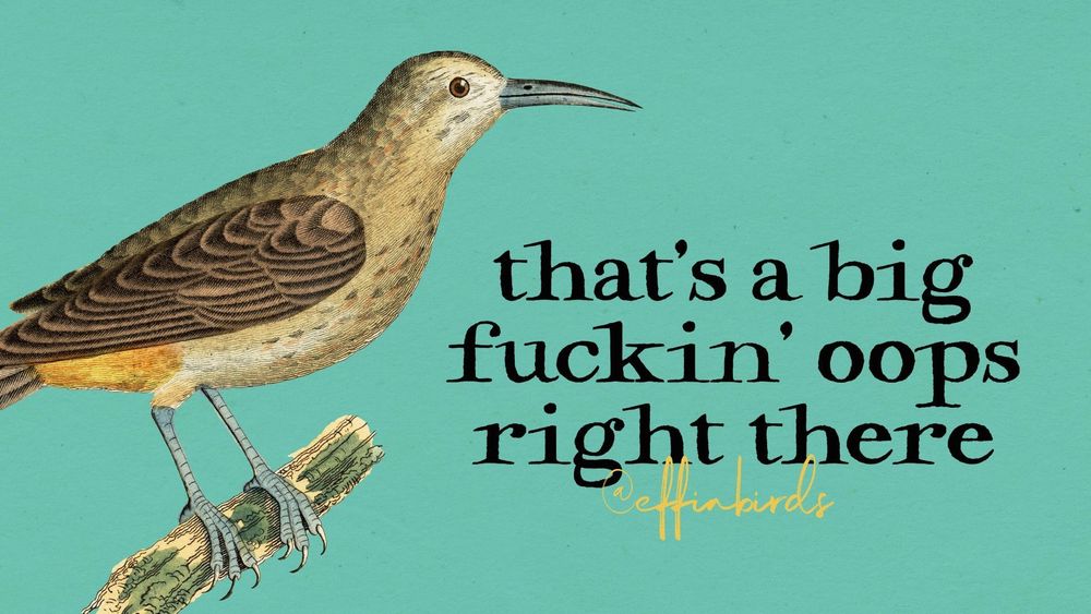 A painting of a bird beside the text "that's a big fuckin' oops right there"