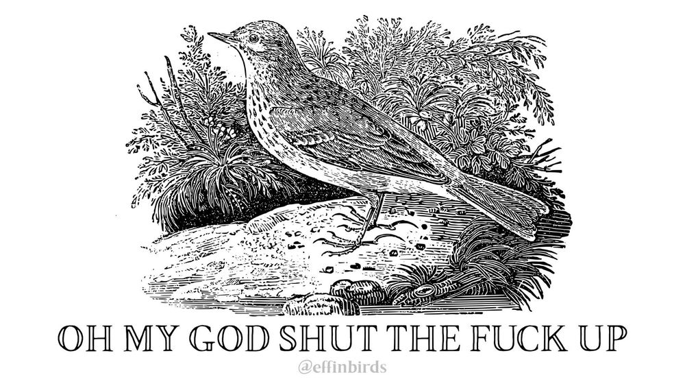 A woodcut of a bird beside the text "OH MY GOD SHUT THE FUCK UP"