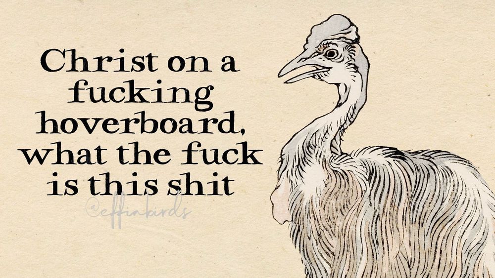 A painting of a bird next to the words "Christ on a fucking hoverboard, what the fuck is this shit"