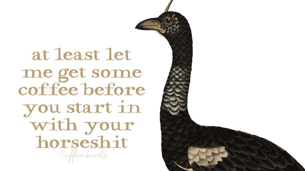 A painting of a bird next to the words "at least let me get some coffee before you start in with your horseshit"