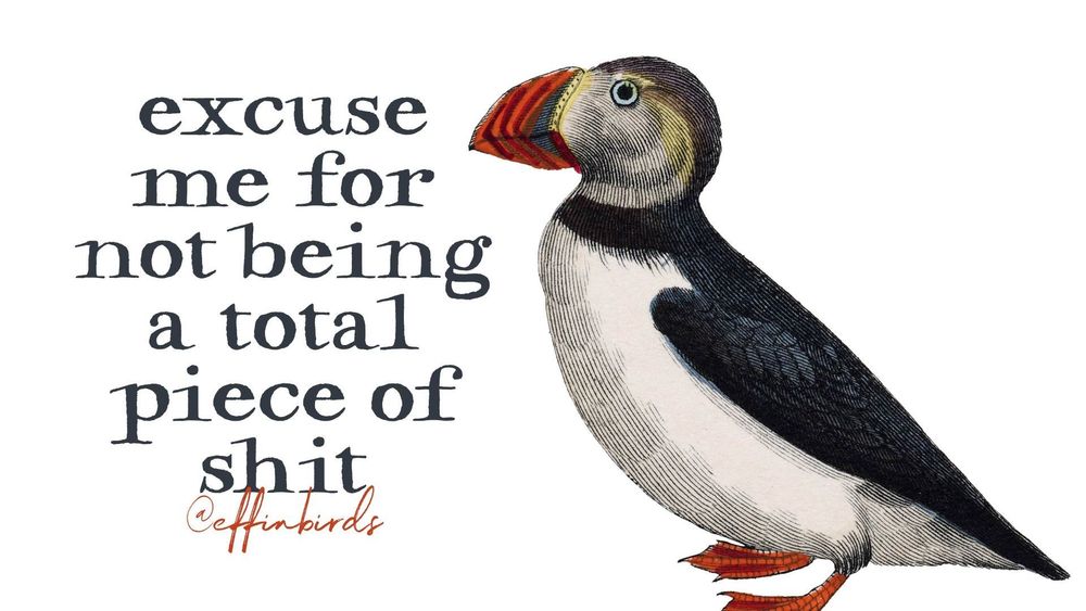 A painting of a bird next to the words "excuse me for not being a total piece of shit"
