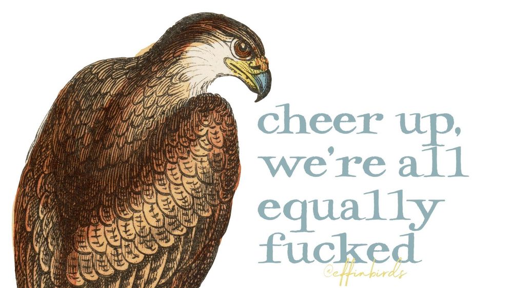 A painting of a bird next to the words "cheer up, we're all equally fucked"