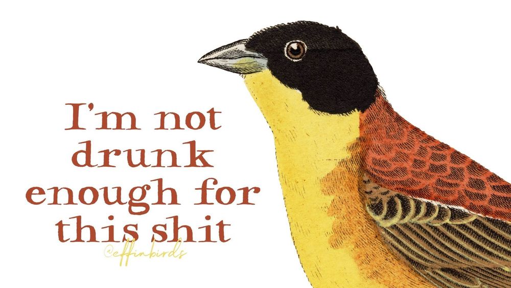 A painting of a bird next to the words "I'm not drunk enough for this shit"