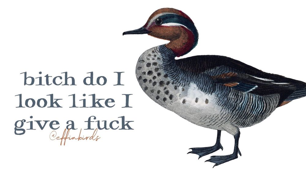 A painting of a bird next to the words "bitch do I look like I give a fuck"