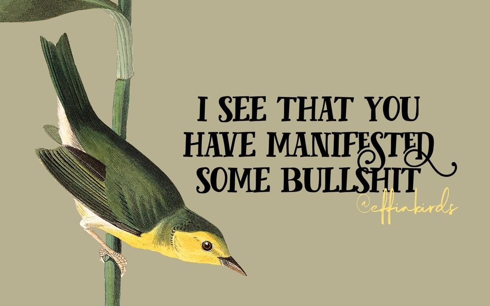 A painting of a bird beside the text "I see that you have manifested some bullshit"