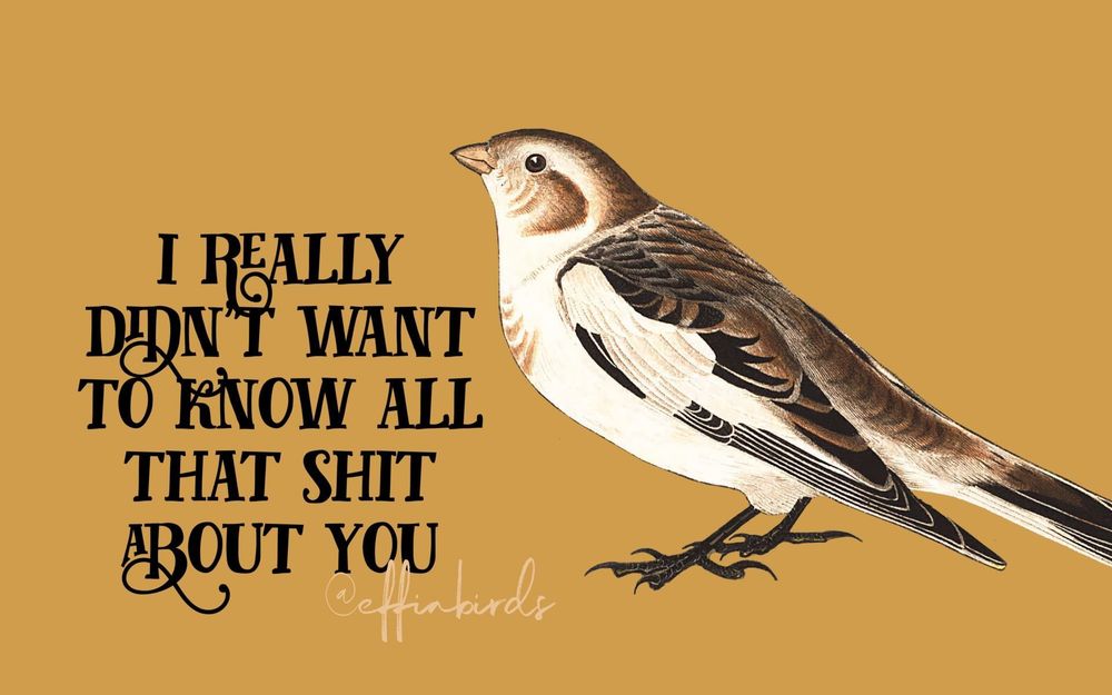 A painting of a bird beside the text "i really didn't want to know all that shit about you"