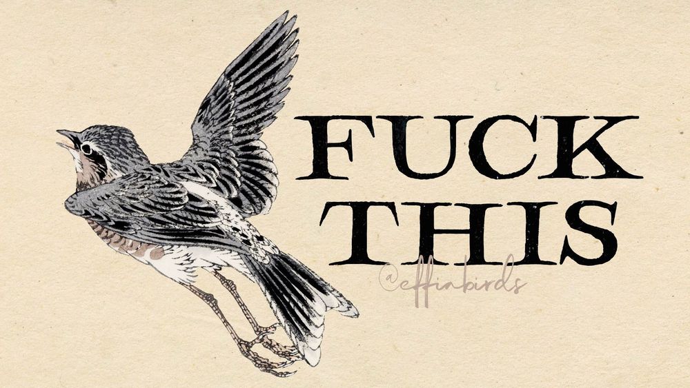 A painting of a bird next to the words "fuck this"
