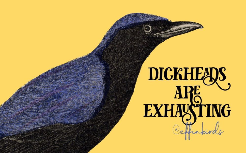A painting of a bird beside the text "Dickheads are exhausting"