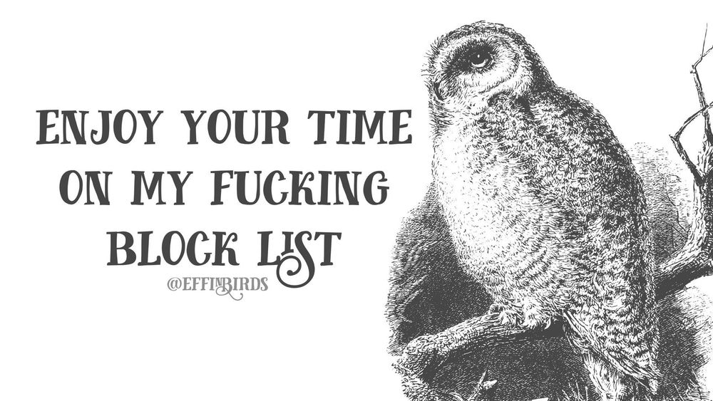 A woodcut of a bird beside the text "enjoy your time on my fucking block list"