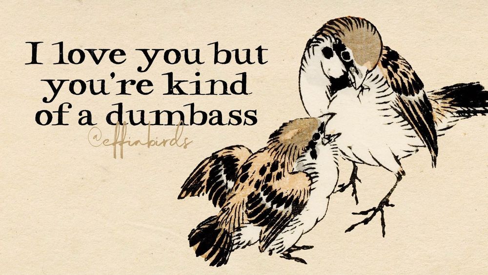 A painting of a bird next to the words "I love you but you're kind of a dumbass"