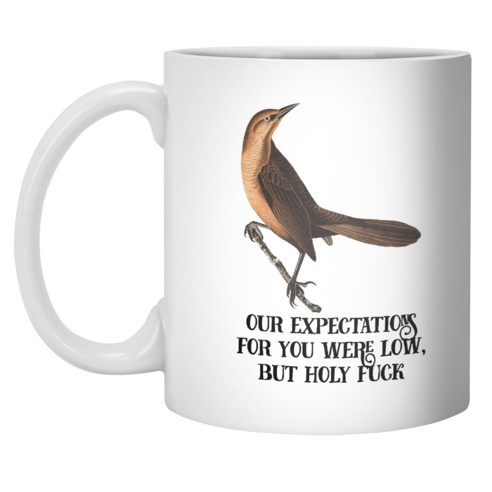 A mug that reads "our expectations for you were low, but holy fuck"