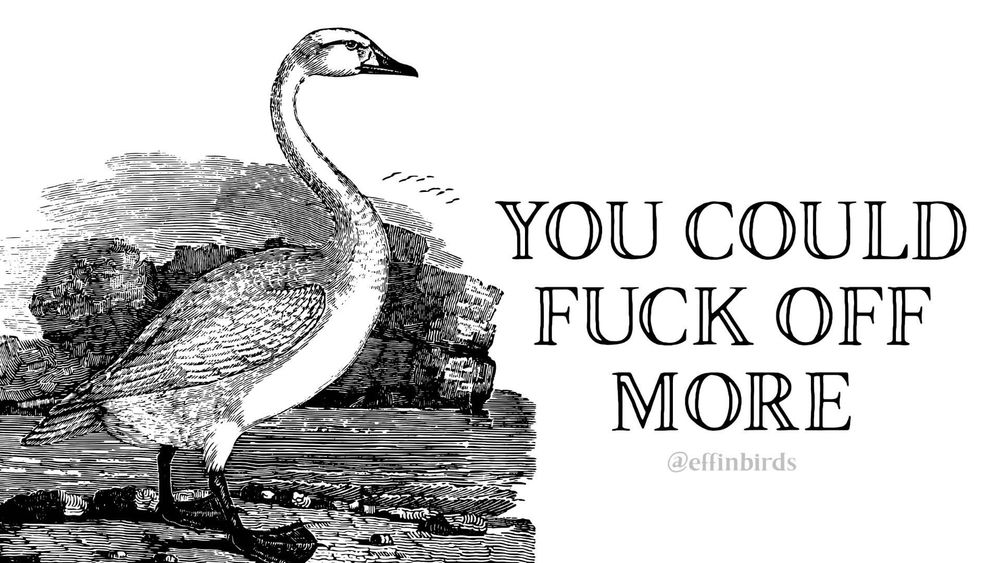 A painting of a bird next to the words "you could fuck off more"