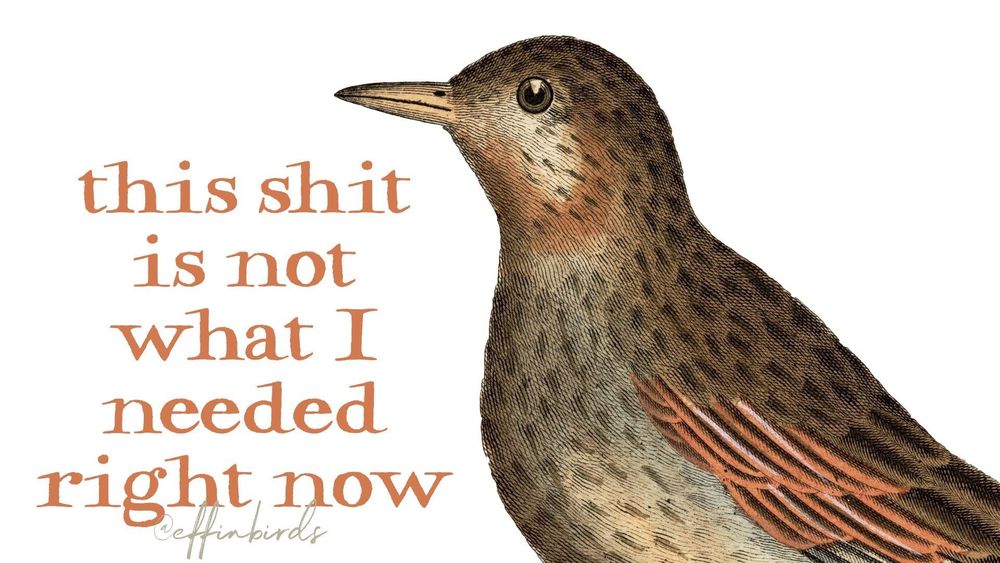 A painting of a bird next to the words "this shit is not what I needed right now"