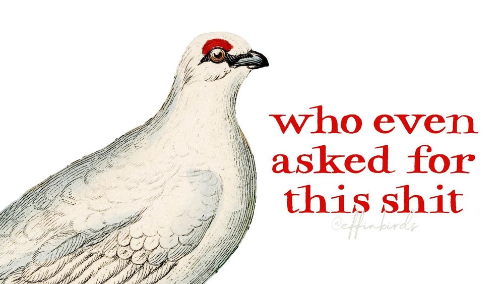 A painting of a bird beside the text "who even asked for this shit"