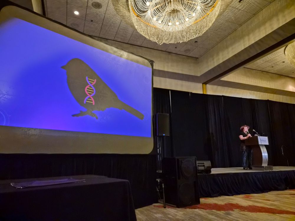 T Kingfisher on stage at Dragon Con
