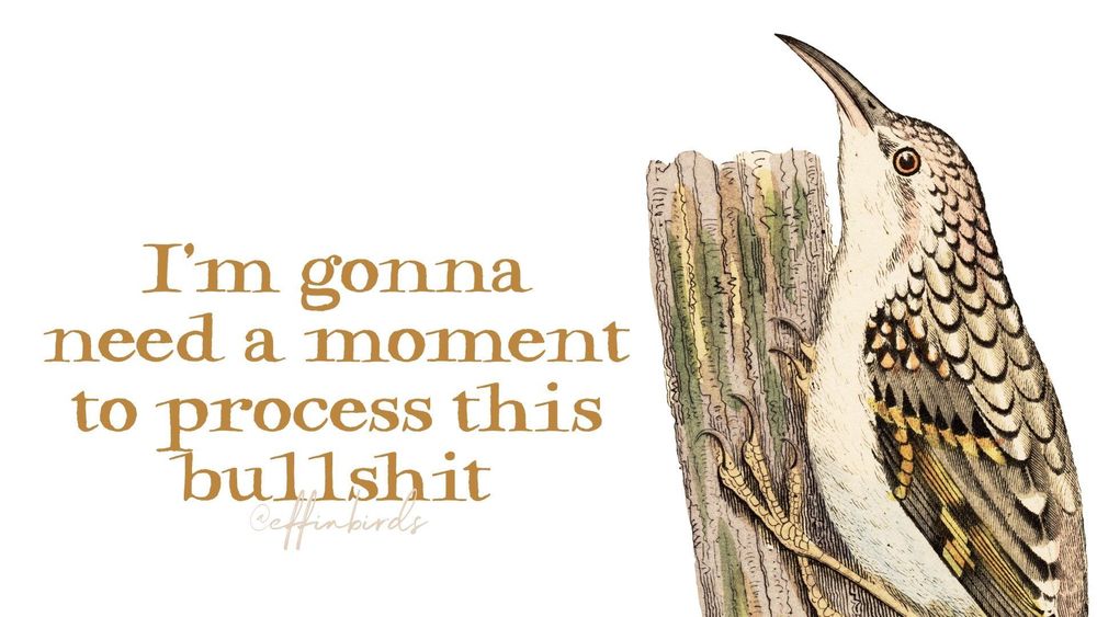 A painting of a bird next to the words "I'm gonna need a moment to process this bullshit"