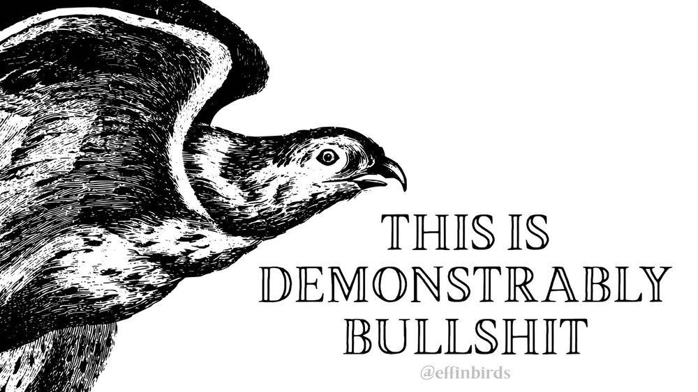 A painting of a bird next to the words "this is demonstrably bullshit"