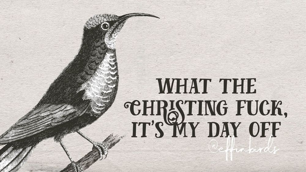 A woodcut of a bird beside the text "what the Christing fuck, it's my day off"