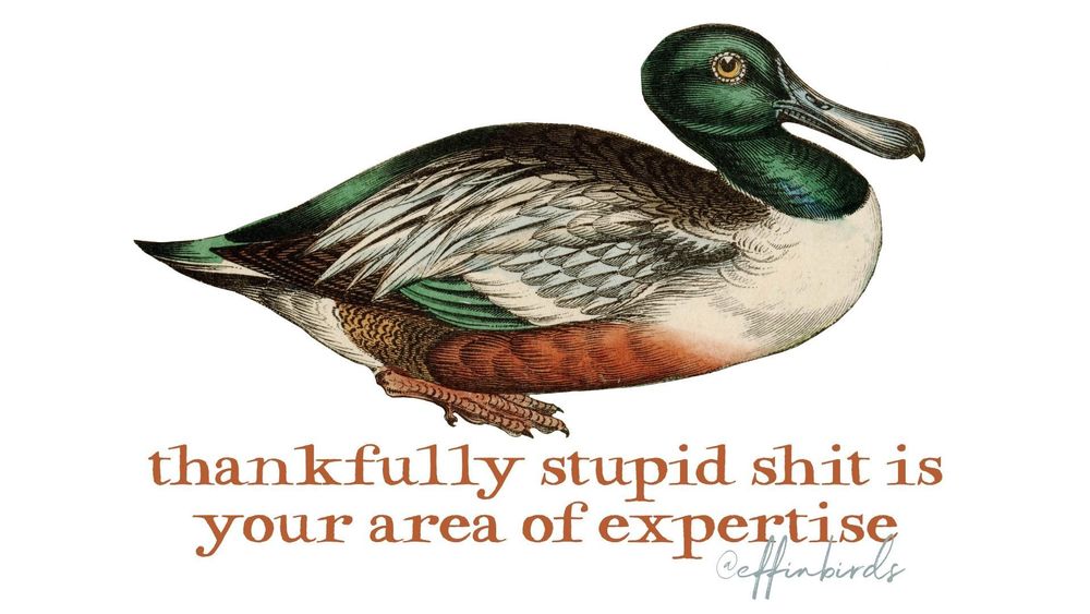 A painting of a bird next to the words "thankfully stupid shit is your area of expertise"