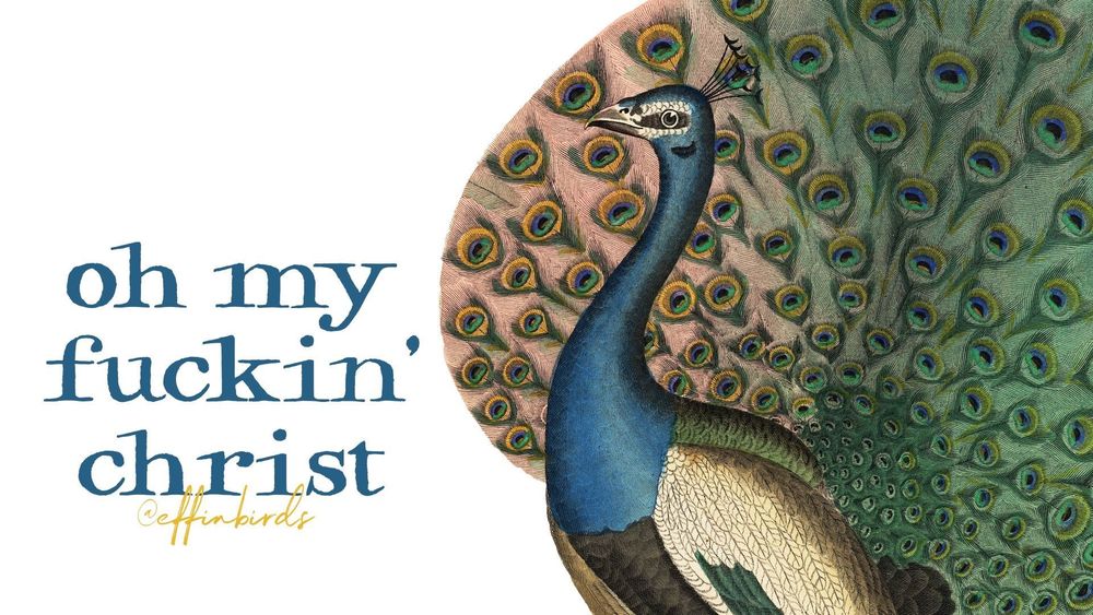 A painting of a bird next to the words "oh my fuckin' christ"