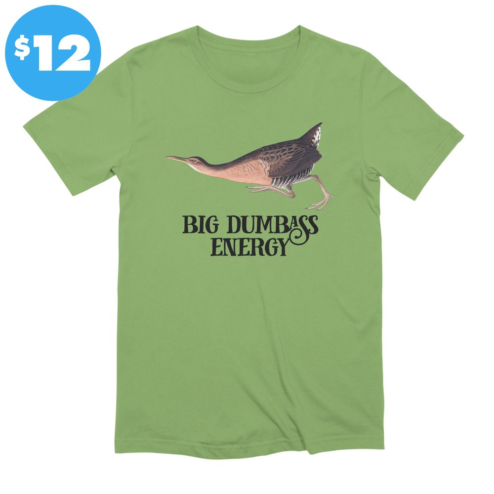 A t-shirt featuring a painting of a bird above the text "big dumbass energy"