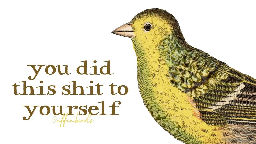 A painting of a bird next to the words "you did this shit to yourself"